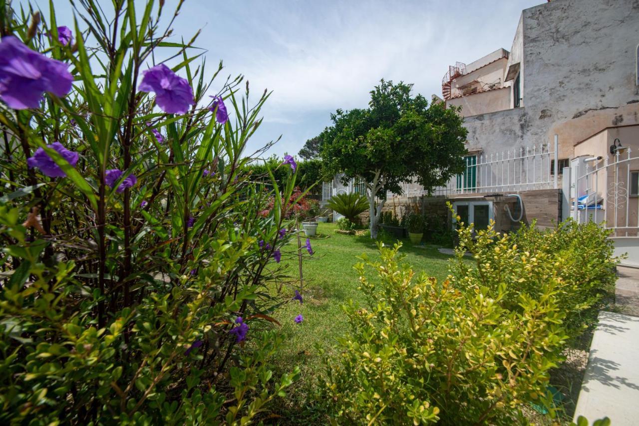 Il Giardino Vila Procida Exterior foto